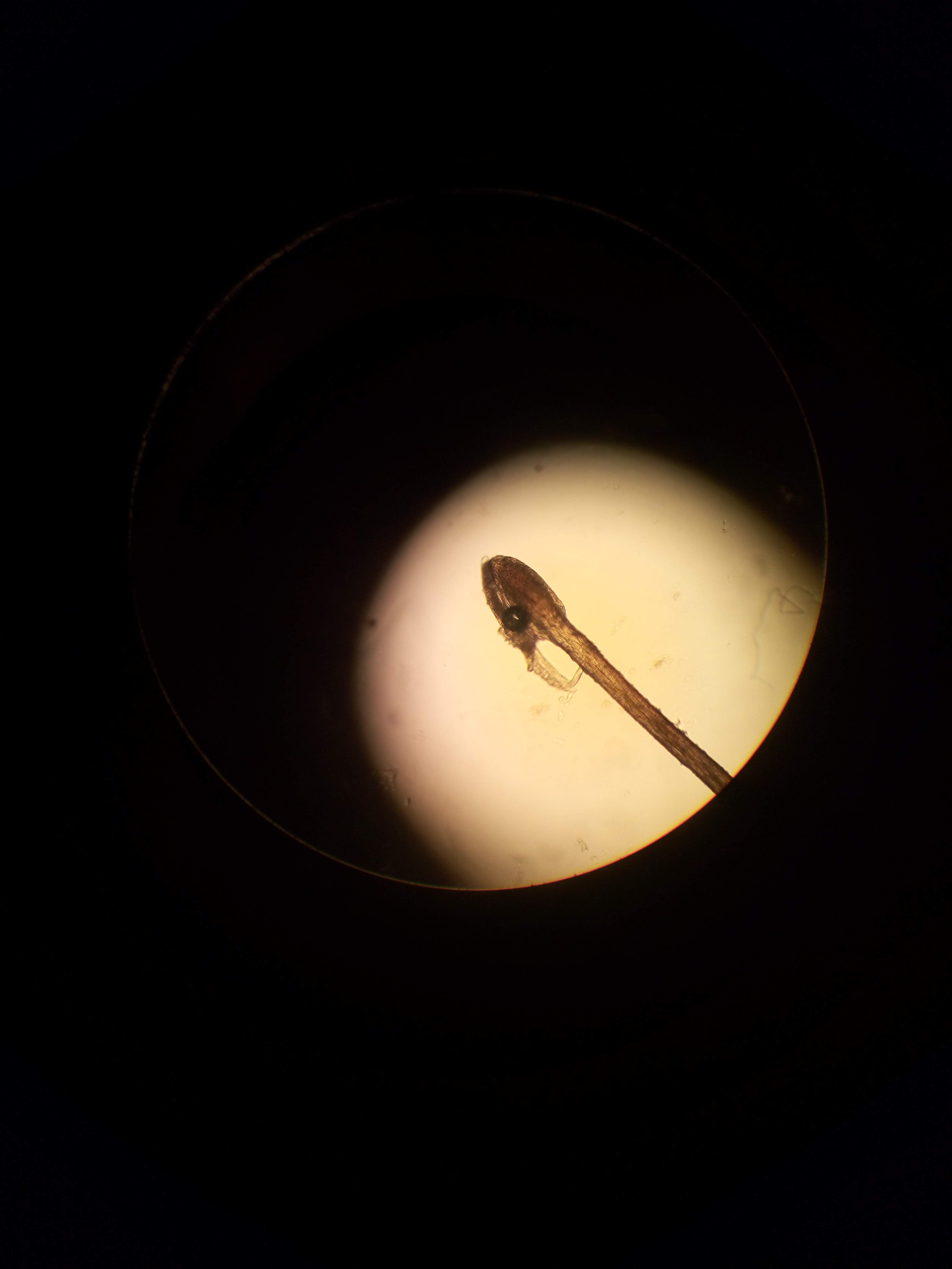 P90402 121153